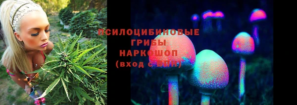 mix Аркадак