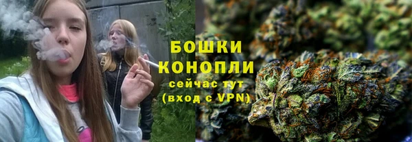 тгк Арсеньев
